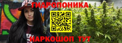 прущие крисы Берёзовский