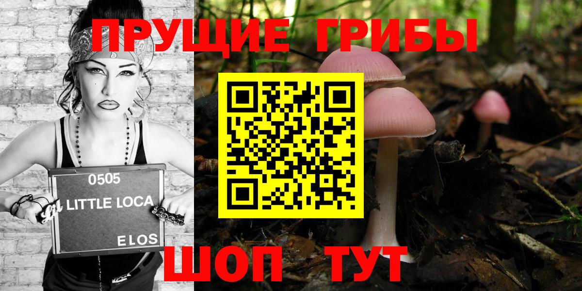 Псилоцибиновые грибы мицелий Златоуст